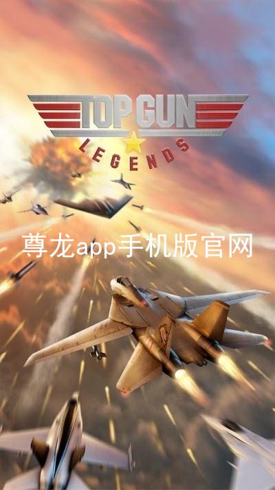 尊龙app手机版官网