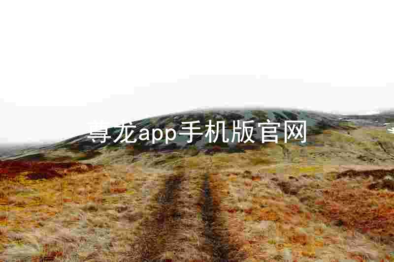 尊龙app手机版官网
