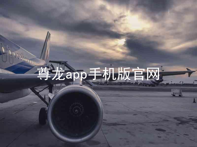 尊龙app手机版官网