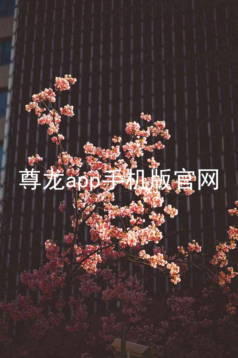 尊龙app手机版官网