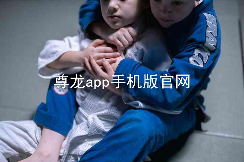 尊龙app手机版官网