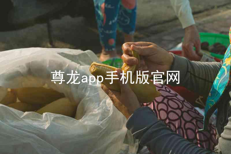 尊龙app手机版官网